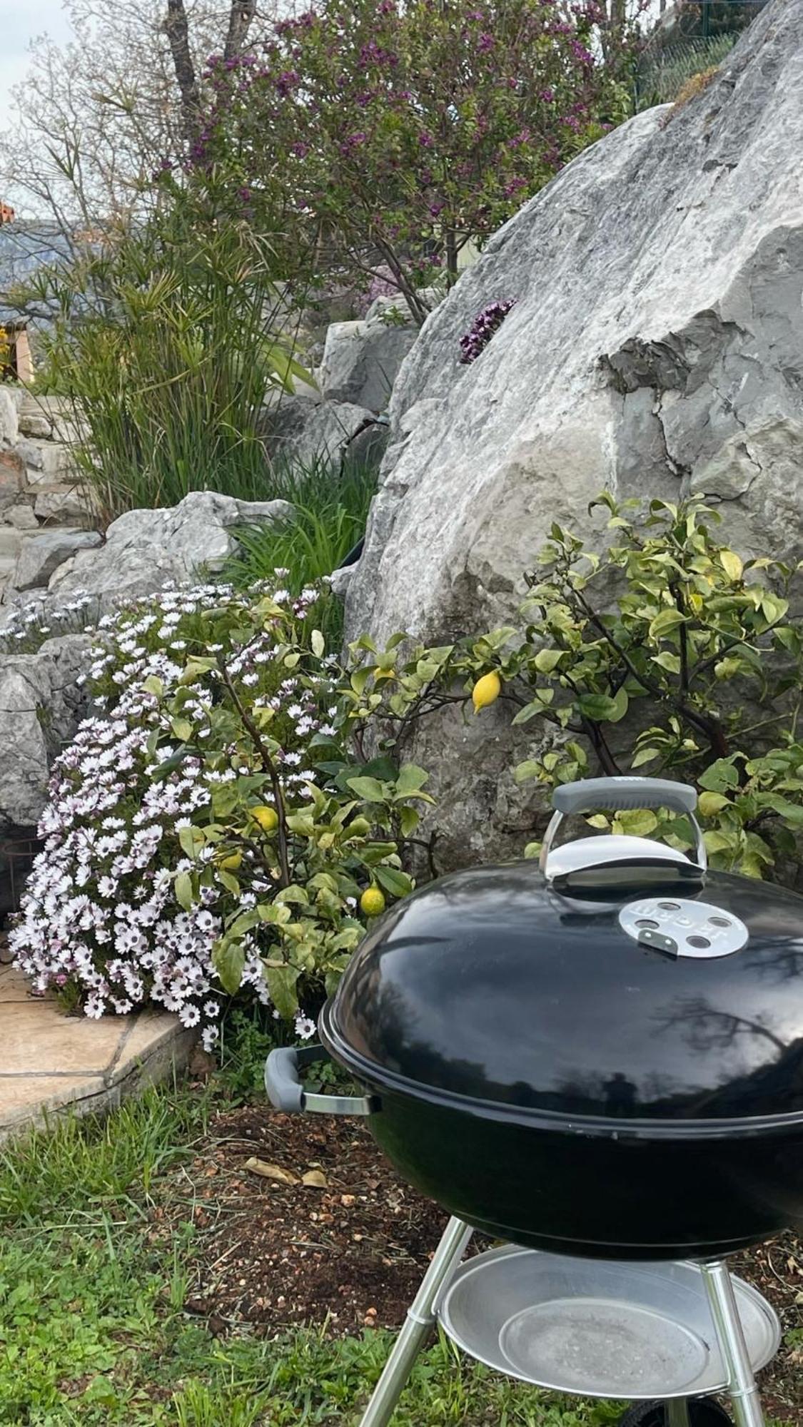 Rez De Jardin, Entre Mer Et Montagne Levens Buitenkant foto